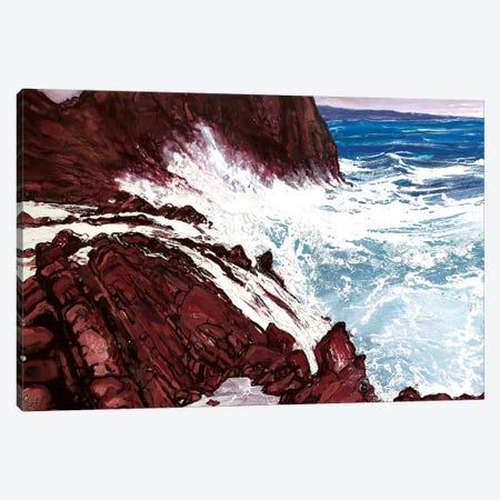 Seaspray, Red Rocks VIII Canvas Print #MSE38} by Michael Sole Canvas Art Print