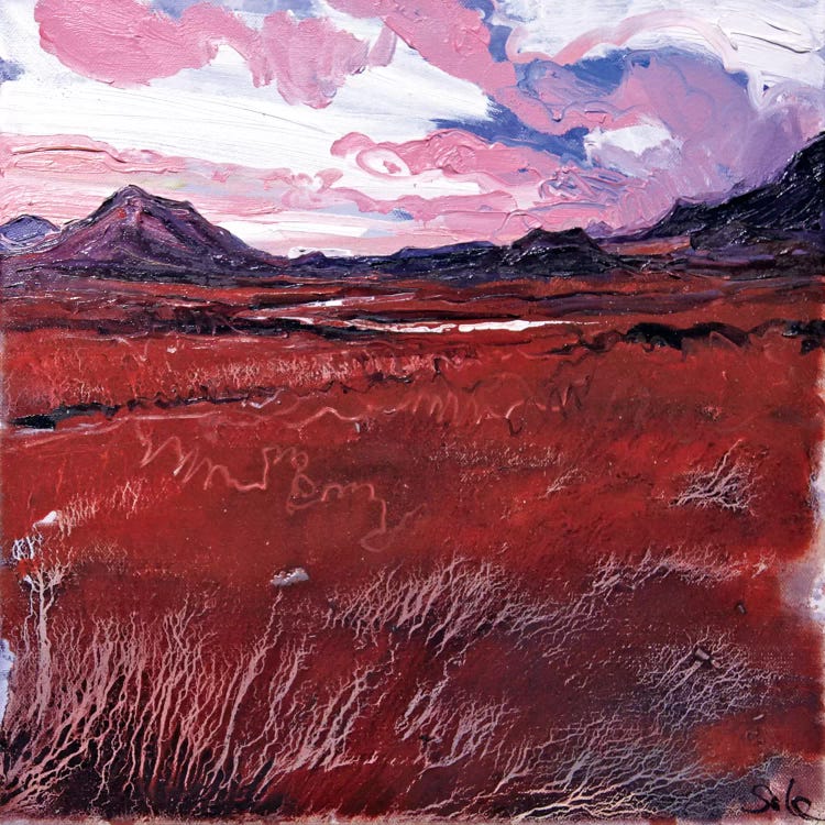 Sligachan VII by Michael Sole wall art
