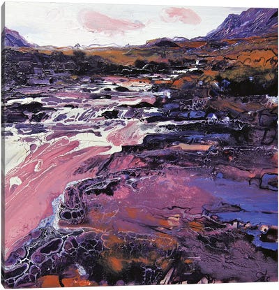 Sligachan VIII Canvas Art Print - River, Creek & Stream Art