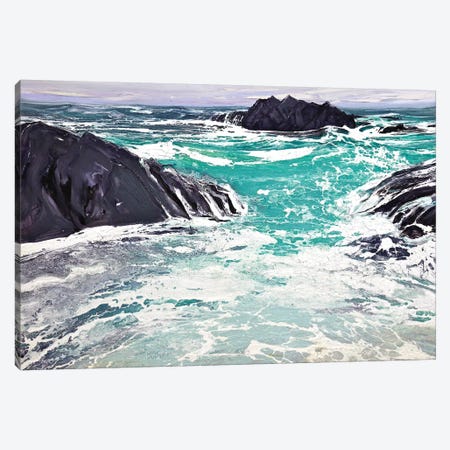 Iona I Canvas Print #MSE4} by Michael Sole Canvas Print