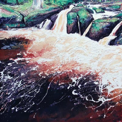Wyming Brook V by Michael Sole canvas print