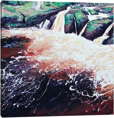 Wyming Brook V Canvas Art Print - Michael Sole