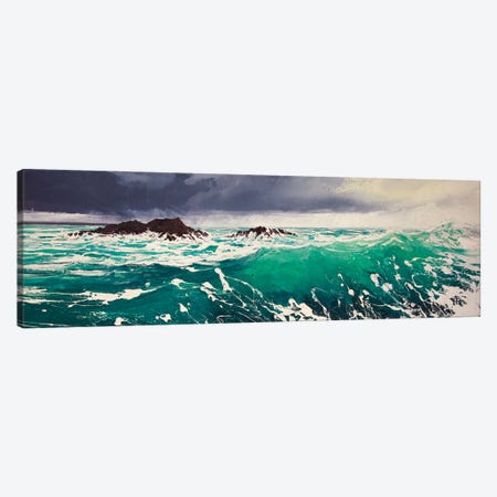 North Westerly IV Canvas Print #MSE53} by Michael Sole Art Print