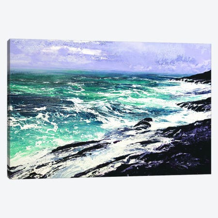 Ardnamurchan Peninsula Canvas Print #MSE55} by Michael Sole Canvas Artwork
