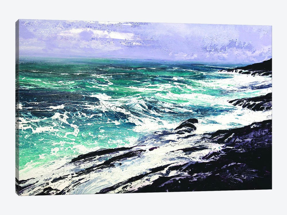 Ardnamurchan Peninsula by Michael Sole 1-piece Canvas Art Print
