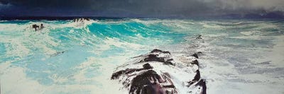 Cap d'Antibes, West by Michael Sole canvas print