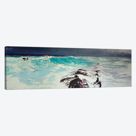Cap d'Antibes, West Canvas Print #MSE58} by Michael Sole Art Print