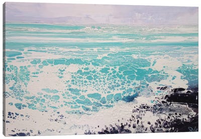Cornwall Haze Canvas Art Print - Michael Sole