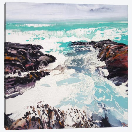 Cornwall Rocks II Canvas Print #MSE73} by Michael Sole Art Print