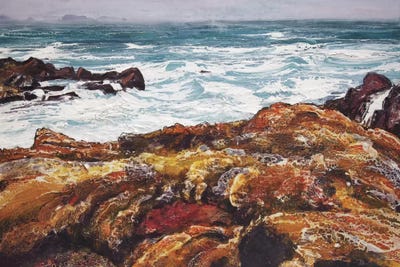 Iona V by Michael Sole framed wall art