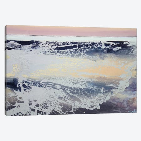 Morning Sea Canvas Print #MSE80} by Michael Sole Canvas Art