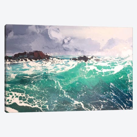 North Westerly XI Canvas Print #MSE81} by Michael Sole Canvas Artwork