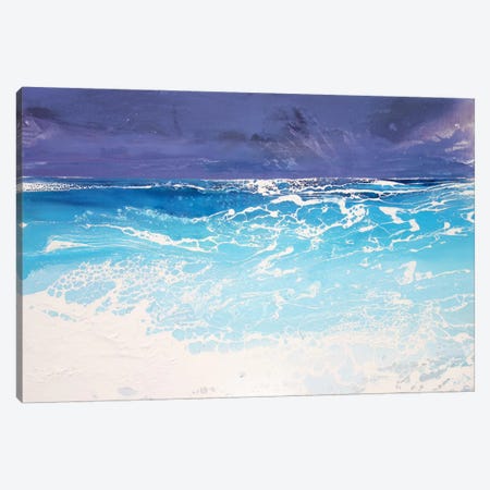 Storm On The Riviera V Canvas Print #MSE82} by Michael Sole Canvas Wall Art