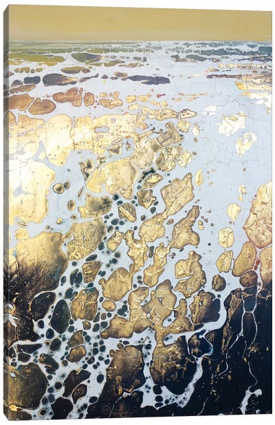 English Gold XIV Canvas Art Print - Seascape Art