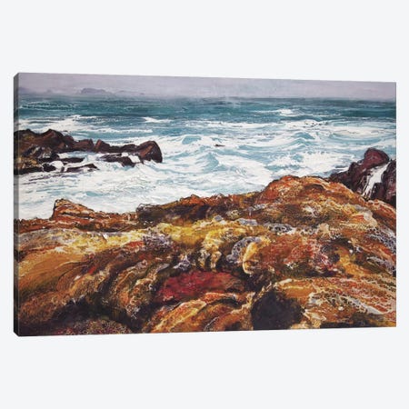 Iona V Canvas Print #MSE8} by Michael Sole Canvas Artwork