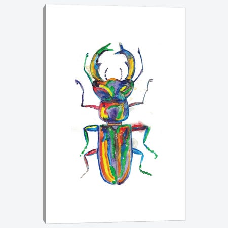 Stag Horn Beetle Canvas Print #MSG111} by Maryna Salagub Canvas Artwork