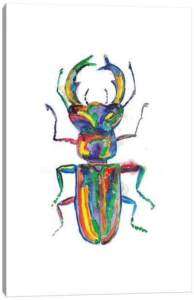 Stag Horn Beetle Canvas Art Print - Beetle Art