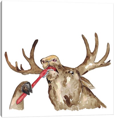 Moose Brushing Teeth Canvas Art Print - Moose Art