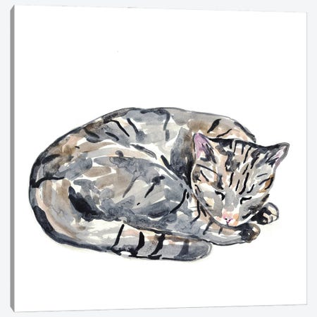 Cat Sleeping Canvas Print #MSG40} by Maryna Salagub Canvas Artwork