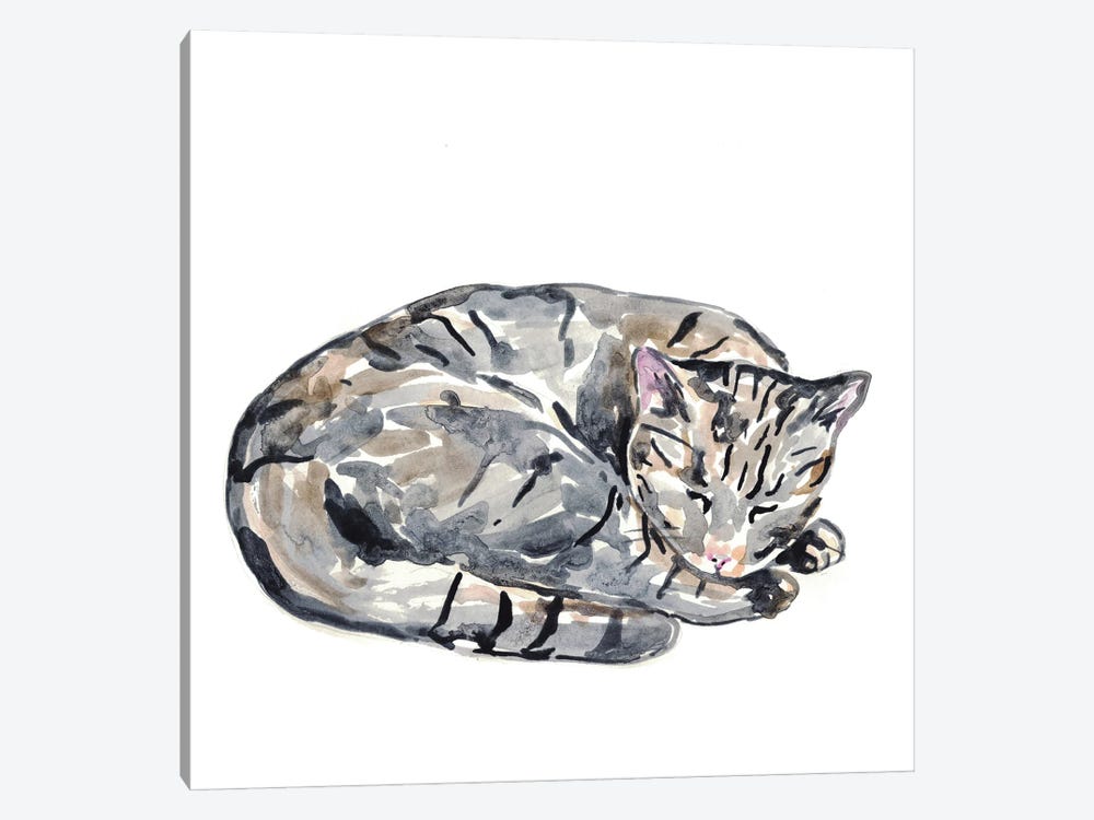 Cat Sleeping by Maryna Salagub 1-piece Canvas Art