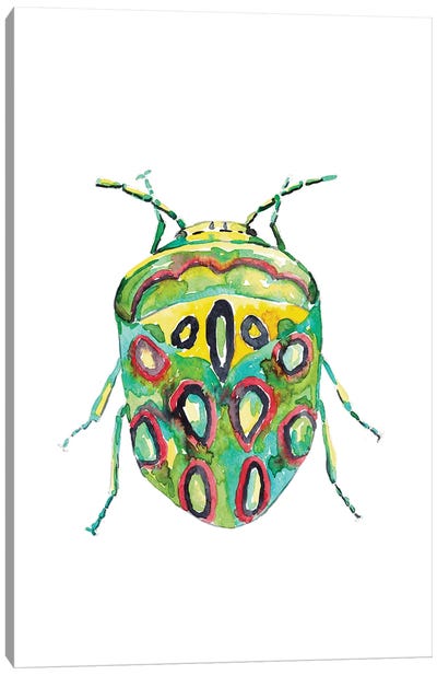 Colorful Beetle Canvas Art Print - Beetle Art