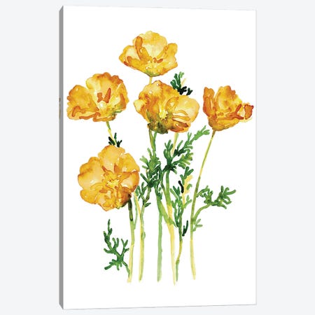 California Poppy Canvas Print #MSG59} by Maryna Salagub Art Print