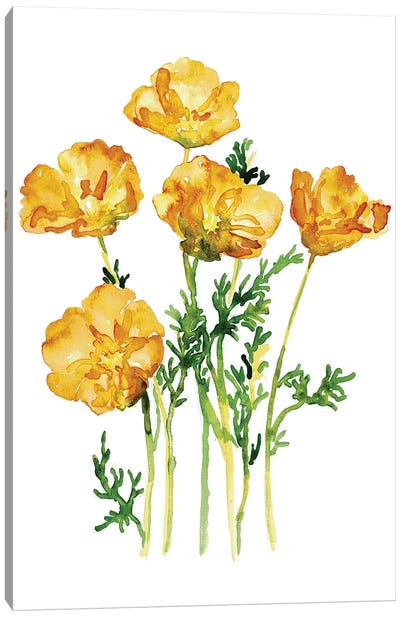 California Poppy Canvas Art Print - Maryna Salagub