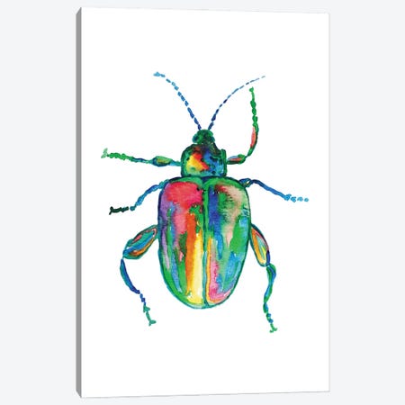 Colorful Beetle Art Canvas Print #MSG70} by Maryna Salagub Canvas Art Print