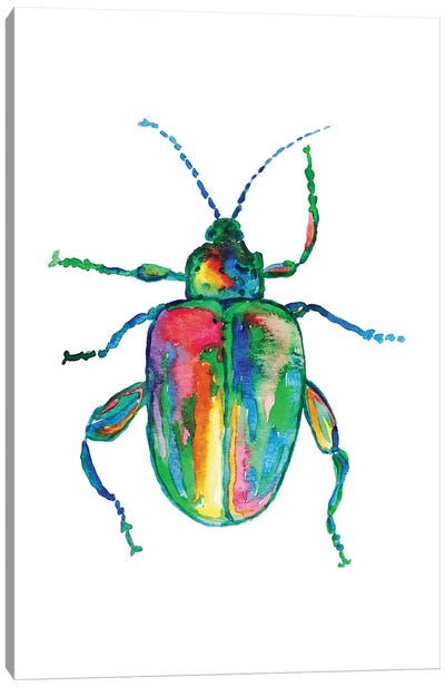 Colorful Beetle Art Canvas Art Print - Beetle Art