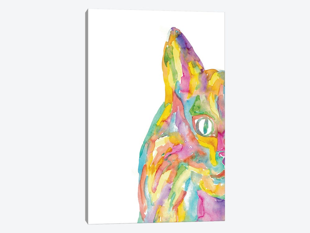 Cat Rainbow by Maryna Salagub 1-piece Canvas Art Print