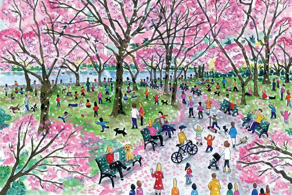 City Parks: Cherry Blossoms by Michael Storrings