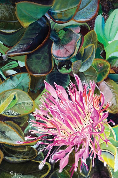 Marina Strijakova: Morning Hairdo by Marina Strijakova