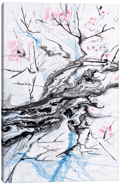 Cherry Bloom I Canvas Art Print - Cherry Blossom Art