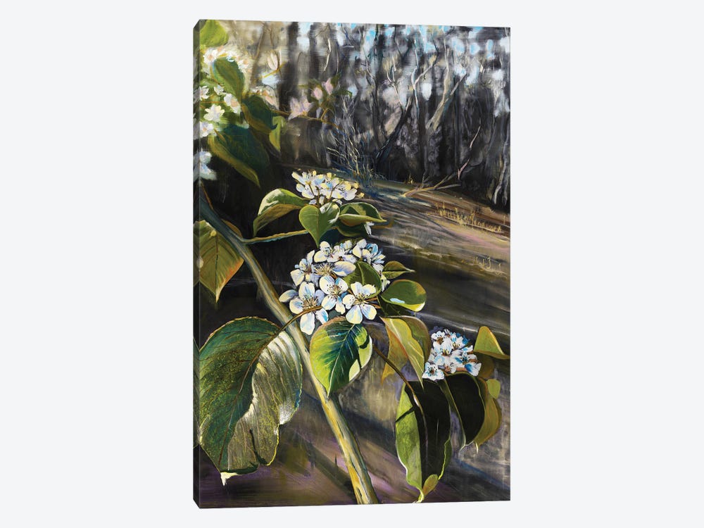 Apple Bloom by Marina Strijakova 1-piece Canvas Print