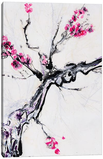 Cherry Bloom II Canvas Art Print - Cherry Blossom Art