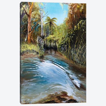 Georges River - Splash Canvas Print #MSJ44} by Marina Strijakova Canvas Artwork