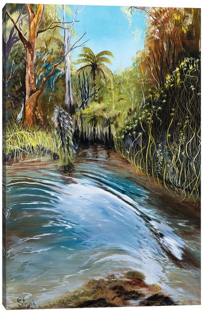 Georges River - Splash Canvas Art Print
