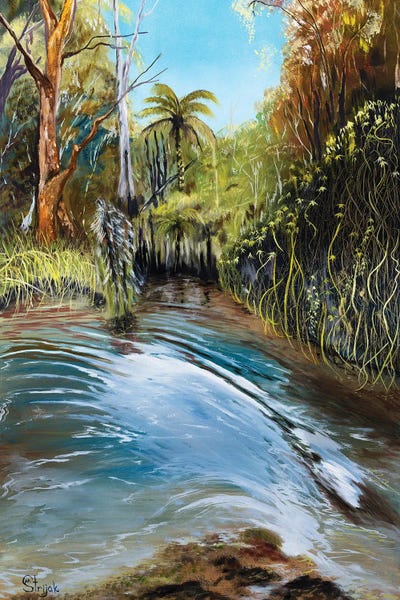 Marina Strijakova: Georges River - Splash by Marina Strijakova