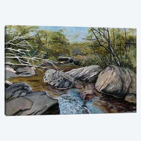 Georges River Spring Canvas Print #MSJ45} by Marina Strijakova Canvas Wall Art