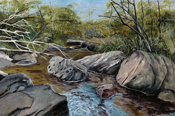 Marina Strijakova: Georges River Spring by Marina Strijakova