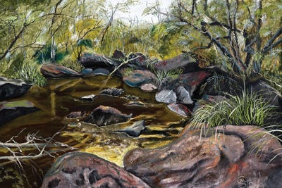 Georges River Summer by Marina Strijakova canvas print