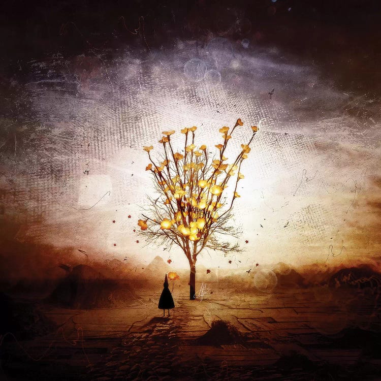 Finding by Mario Sanchez Nevado wall art