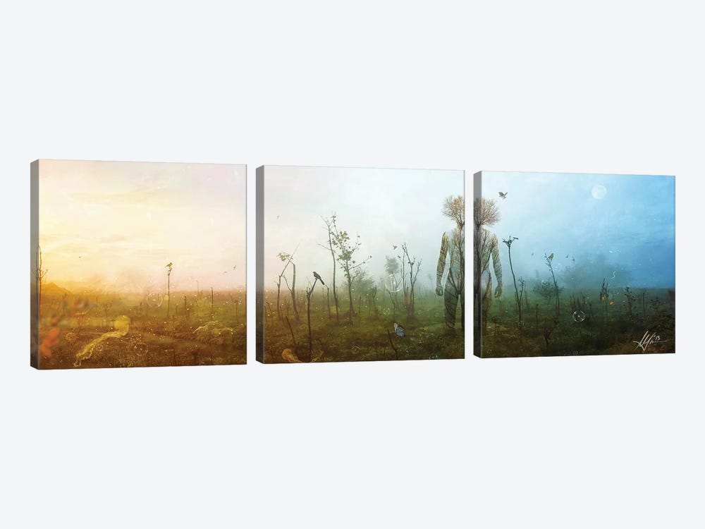 Internal Landscapes by Mario Sanchez Nevado 3-piece Art Print