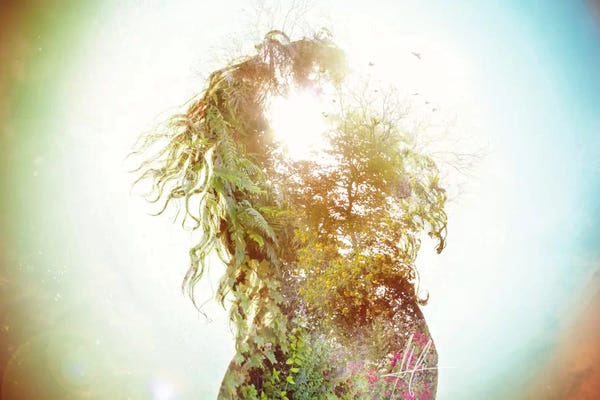 Silhouettes: Wisdom by Mario Sanchez Nevado