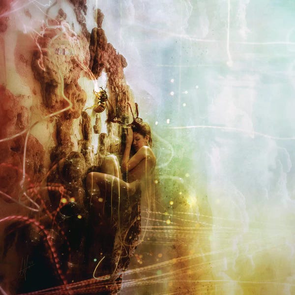 Alternative Décor: How To Disappear Completely by Mario Sanchez Nevado