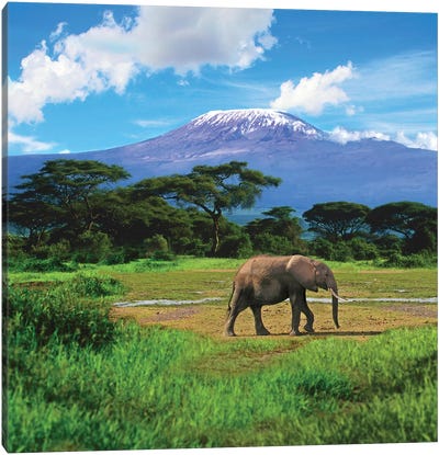 A Lone African Elephant With Mount Kilimanjaro In The Background, Amboseli National Park, Kenya Canvas Art Print - Kenya