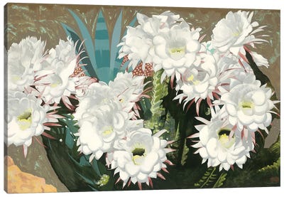 Giant Argentine Cactus Canvas Art Print