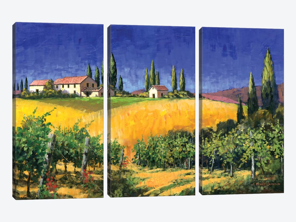 Tuscan Evening by Michael Swanson 3-piece Canvas Artwork