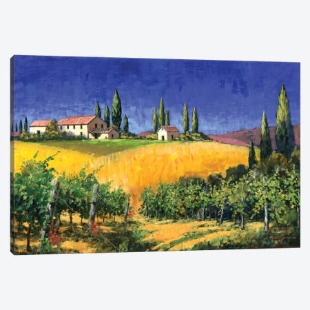 Tuscan Evening Canvas Print #MSW2} by Michael Swanson Art Print