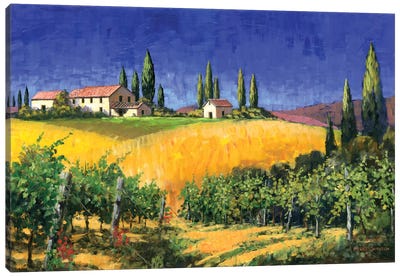 Tuscan Evening Canvas Art Print - Vineyard Art